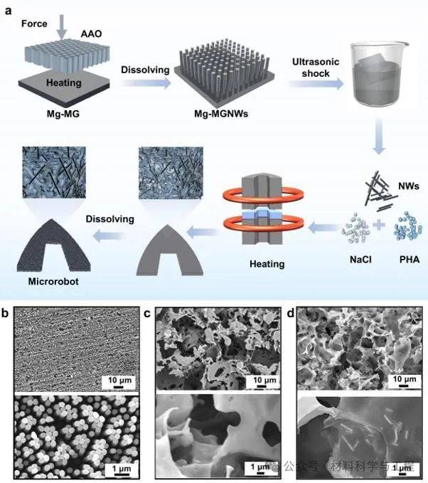 深圳大学《ACS Nano》：基于镁基金属玻璃纳米线的微型光驱动机器人