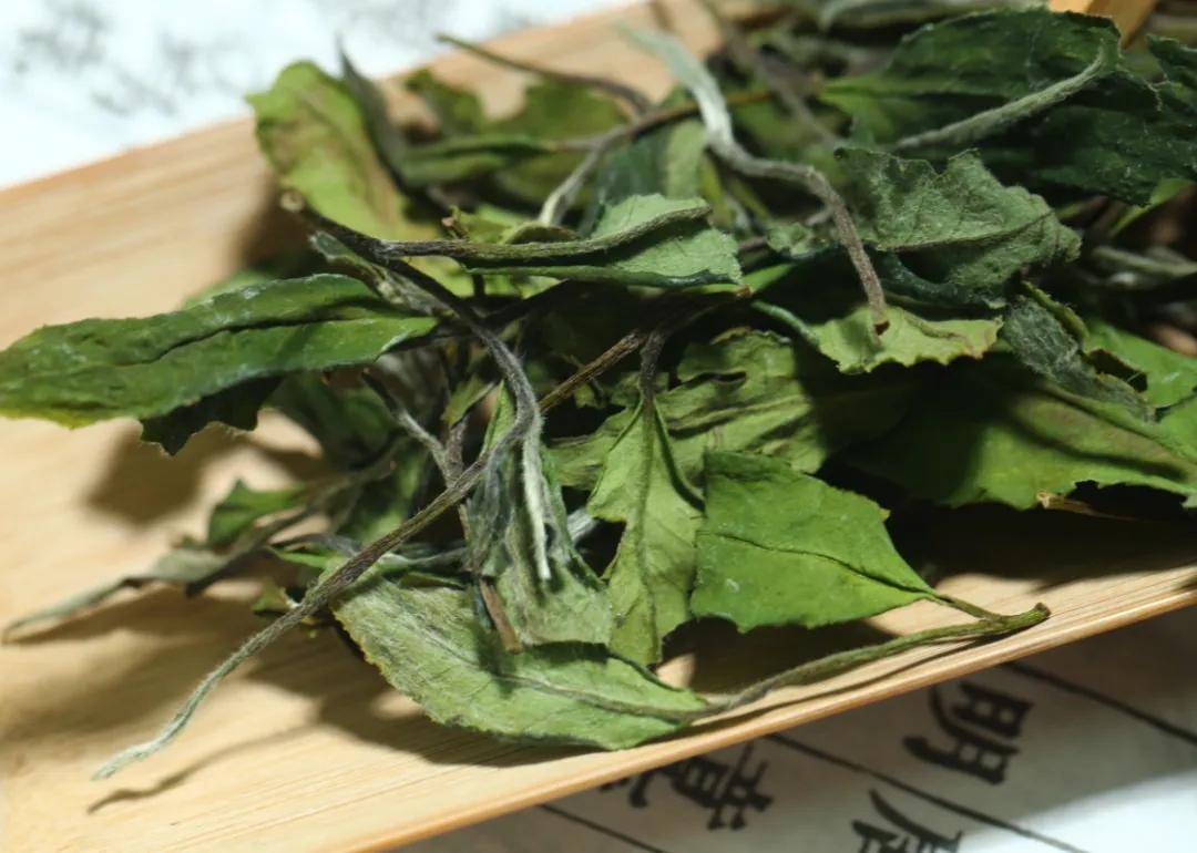 白茶基础知识