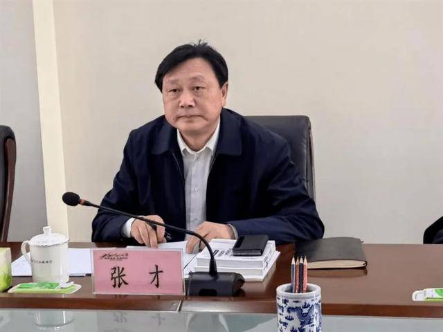 沧州市委书记调整